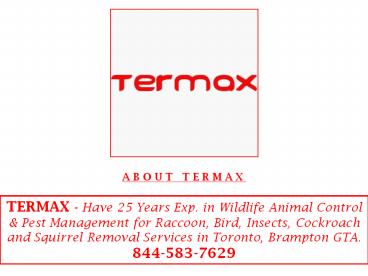 Pest control professionals in burlington