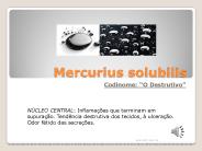 Mercurius solubilis