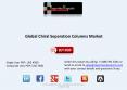 Growth of Global Chiral Separation Columns Market PowerPoint PPT Presentation
