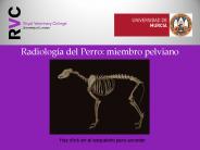 Radiolog