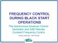 FREQUENCY CONTROL DURING BLACK START OPERATIONS PowerPoint PPT Presentation