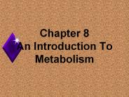 Chapter 8        An Introduction To Metabolism