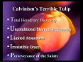 Calvinism PowerPoint PPT Presentation
