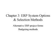 Chapter 3: ERP System Options