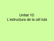 Unitat 10: L