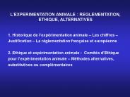 Diapositive 1