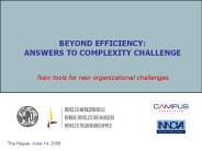 BEYOND EFFICIENCY: ANSWERS TO COMPLEXITY CHALLENGE
