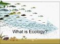 What is Ecology? PowerPoint PPT Presentation