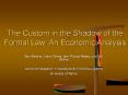 The Custom in the Shadow of the Formal Law: An Economic Analysis PowerPoint PPT Presentation