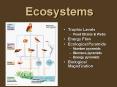 Ecosystems PowerPoint PPT Presentation