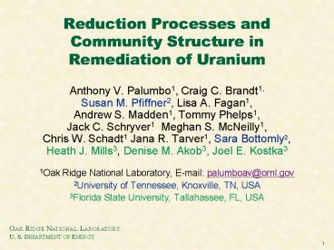 Reduction Processes and Community Structure in Remediation of Uranium
