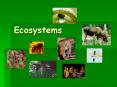 Ecosystems PowerPoint PPT Presentation