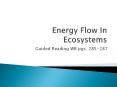 Energy Flow In Ecosystems PowerPoint PPT Presentation