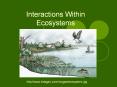 Interactions Within Ecosystems PowerPoint PPT Presentation