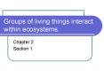 Groups of living things interact within ecosystems. PowerPoint PPT Presentation