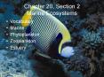 Chapter 20, Section 2 Marine Ecosystems PowerPoint PPT Presentation