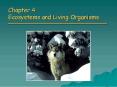 Chapter 4 Ecosystems and Living Organisms PowerPoint PPT Presentation
