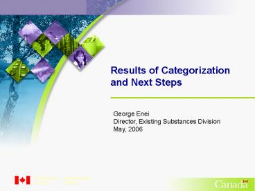 Results of Categorization and Next Steps