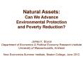 Natural Assets: PowerPoint PPT Presentation