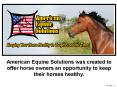 American Equine Solutions was created to offer horse owners an opportunity to keep their horses healthy. PowerPoint PPT Presentation