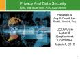 Privacy And Data Security Risk Management And Avoidance PowerPoint PPT Presentation