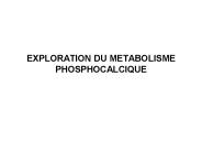 EXPLORATION DU METABOLISME PHOSPHOCALCIQUE