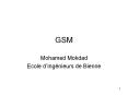 GSM PowerPoint PPT Presentation