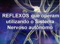 REFLEXOS que operam utilizando o Sistema Nervoso aut PowerPoint PPT Presentation