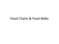 Food Chains PowerPoint PPT Presentation