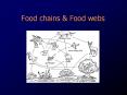Food chains PowerPoint PPT Presentation