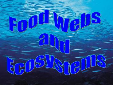 Food Webs