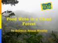 Food Webs in a Cloud Forest PowerPoint PPT Presentation