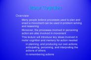 Motor Cognition