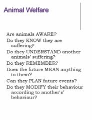 Animal Welfare