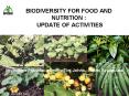 BIODIVERSITY FOR FOOD AND NUTRITION :  UPDATE OF ACTIVITIES PowerPoint PPT Presentation
