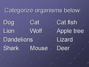 Categorize organisms below: