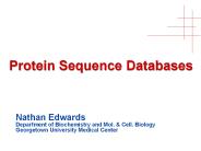 Protein Sequence Databases