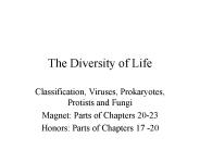 The Diversity of Life