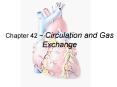 Chapter 42 ~ Circulation and Gas Exchange PowerPoint PPT Presentation