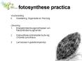 fotosynthese practica PowerPoint PPT Presentation