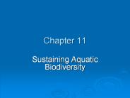 Sustaining Aquatic Biodiversity