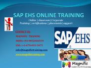 SAP TESTING ONLINE TRAINING IN BANGALORE
