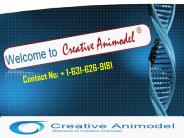 CRISPR/Cas9 Gene Editing System Developed By Creative Animodel