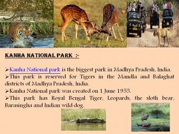 Kanha National Park in Kanha, Madhya Pradesh, India