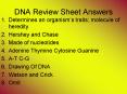 DNA Review Sheet Answers PowerPoint PPT Presentation