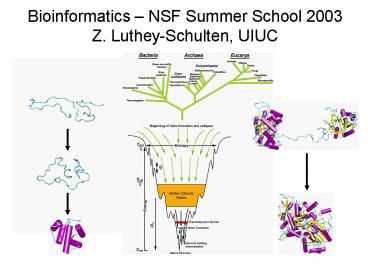 Bioinformatics presentation | free to download