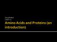 Amino Acids and Proteins (an introduction) PowerPoint PPT Presentation