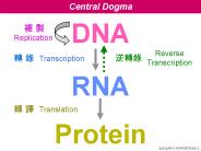 BC basic - from big bang