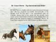 Dr. Cesar Parra - Top International Rider PowerPoint PPT Presentation