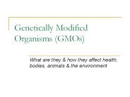 Genetically Modified Organisms (GMOs)